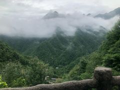 -遂昌金矿国家矿山公园