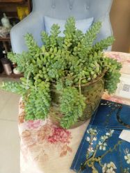 -悦艾堂·中医拔罐减肥·美体艾灸连锁