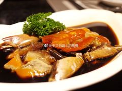 -天宁凯利时尚餐厅