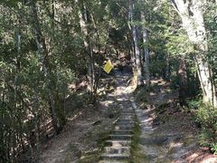 -腾冲云峰山