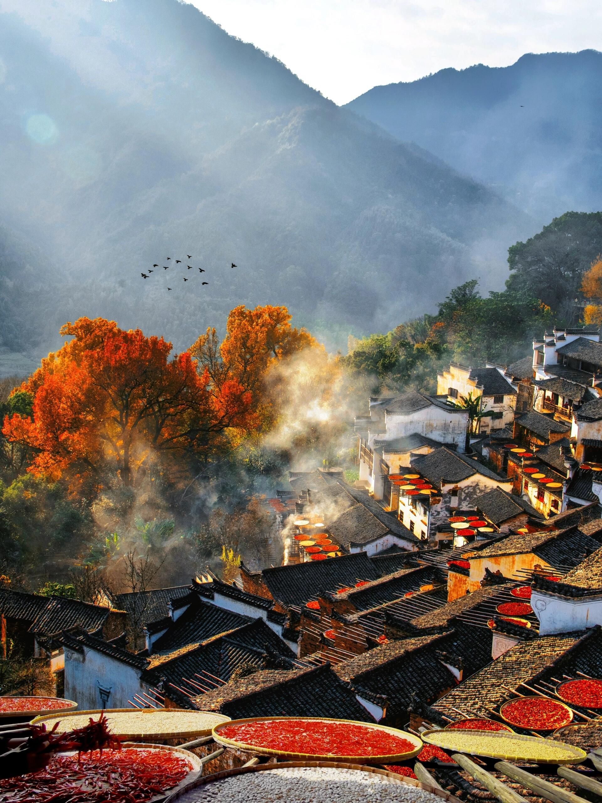 江西最出 名的景点 是婺源相关图片4