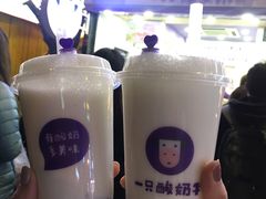 -一只酸奶牛(八一路店)