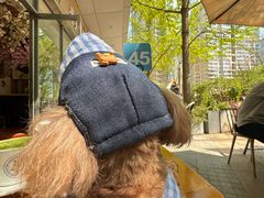 -Jamaicablue Coffeeshop(中央广场店)