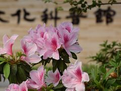 -东山湖公园