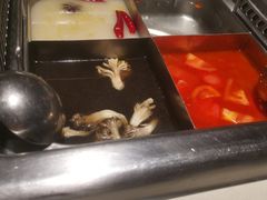 -海底捞火锅(枫蓝国际购物中心店)