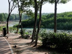 -丁香湖公园