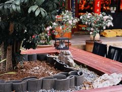 -真庆观