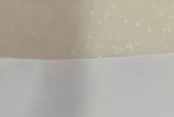 -宝生月子中心·独栋独院式(南山店)