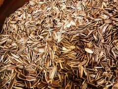 -北门涮肉·炭火铜锅涮肉(什刹海店)