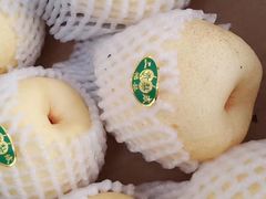 -三亚新鸿港水果一级批发市场