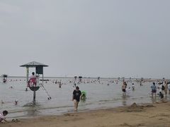 -碧海金沙