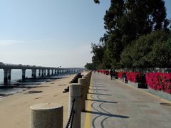 -演武大桥观景平台