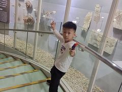 -烟台自然博物馆