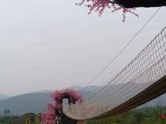 -天适樱花悠乐园