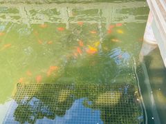 -月湖公园