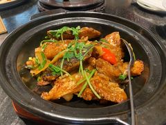 啫啫鱼头煲-誉八仙酒楼(静安大悦城店)