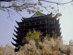 -长兴太湖图影湿地文化园