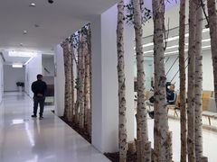 -极简口腔(总院)