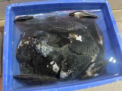 点菜区-荣兴河鲜楼(江口店)