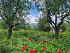 -名花谷生态庄园