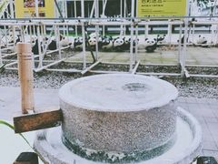-证大喜玛拉雅中心