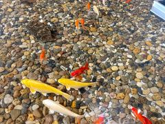-上海怡沁园度假酒店