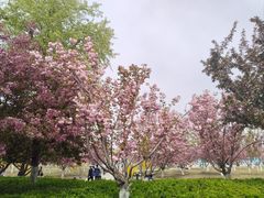 -水西公园
