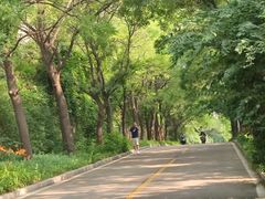 -伊兰斋牛肉包素包(龙禧园店)