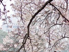 -红星桥(地铁站)