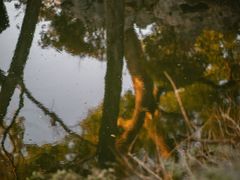 -沧浪亭