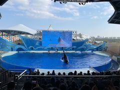 -上海海昌海洋公园