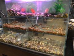 iphone_upload_pic-城市名人酒店喝彩西餐厅(人民南路店)