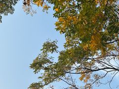 -重庆中央公园(渝北区)