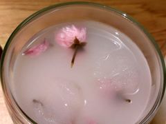 可尔必思-松涛日本料理