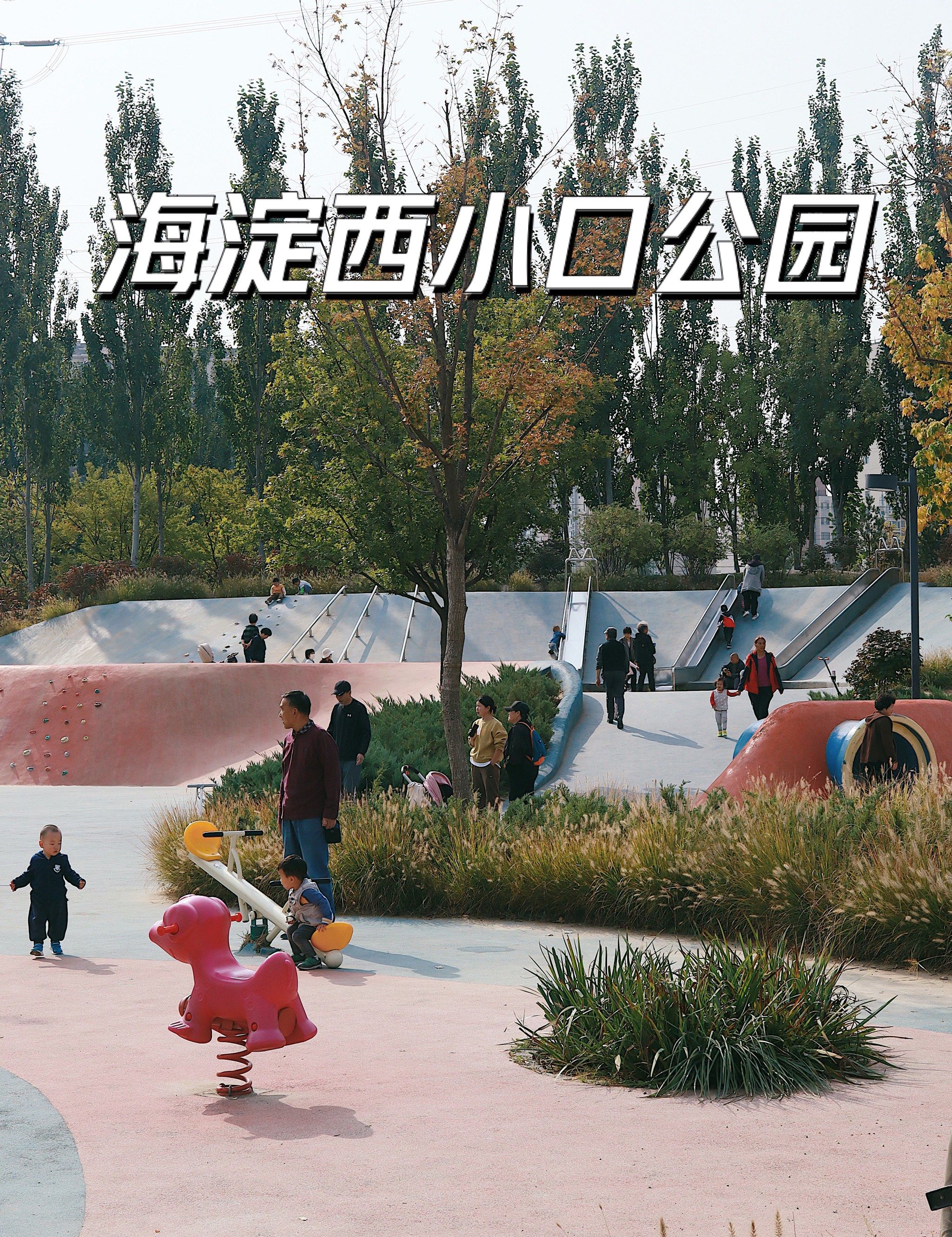 西小口公园|又是北京户外遛娃的惊喜公园