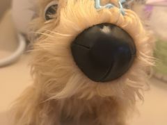 -麦当劳(贵和购物中心B1店)