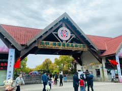 -上海海湾国家森林公园