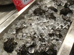 -北戴河转鱼·炒螃蟹酱餐厅