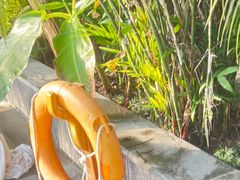 -观唐（国际）度假村温泉