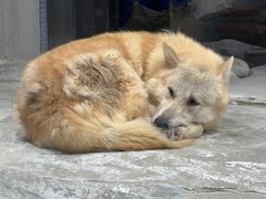 -大连圣亚海洋世界