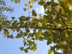 -辽宁大学(崇山校区)