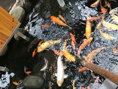-上海大自然野生昆虫馆(东方明珠·爬宠昆虫探索中心)