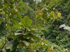 -亚婆田·白水寨生态旅游度假区