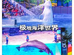 -海合安武汉极地海洋公园