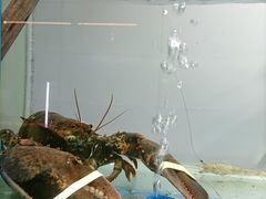 -松沪名灶·豆浆鱼头·新上海菜(江川路交大店)