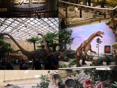 -国家自然博物馆