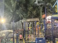 -武汉市青少年宫水上世界
