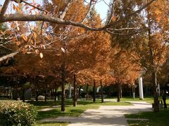 -唐城墙遗址公园