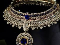 -美国自然历史博物馆