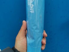 -龙阳路磁悬浮列车总站-停车场